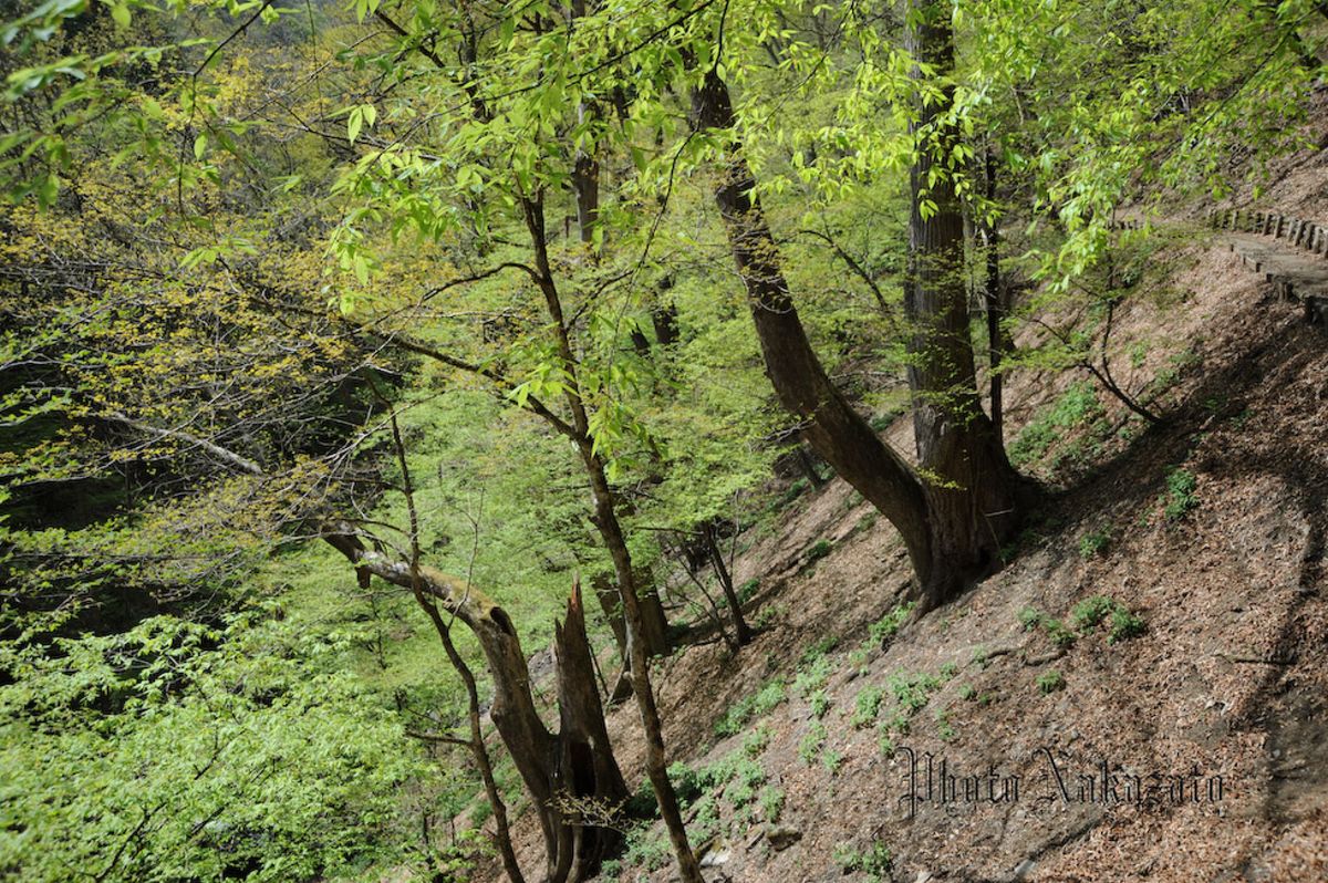 雲取山　日帰り登山